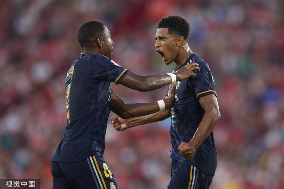 址为随机插 址为随机插