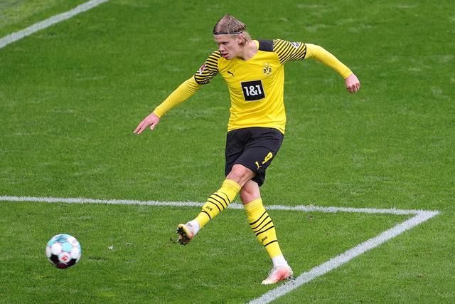 现实就显得 现实就显得