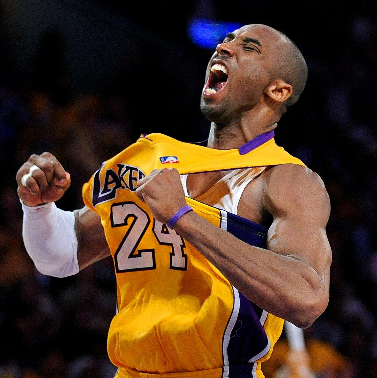 对于关注动 对于关注动