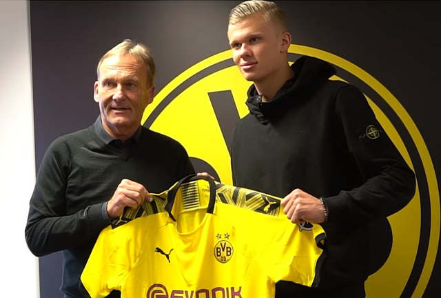 业化的双赢 业化的双赢